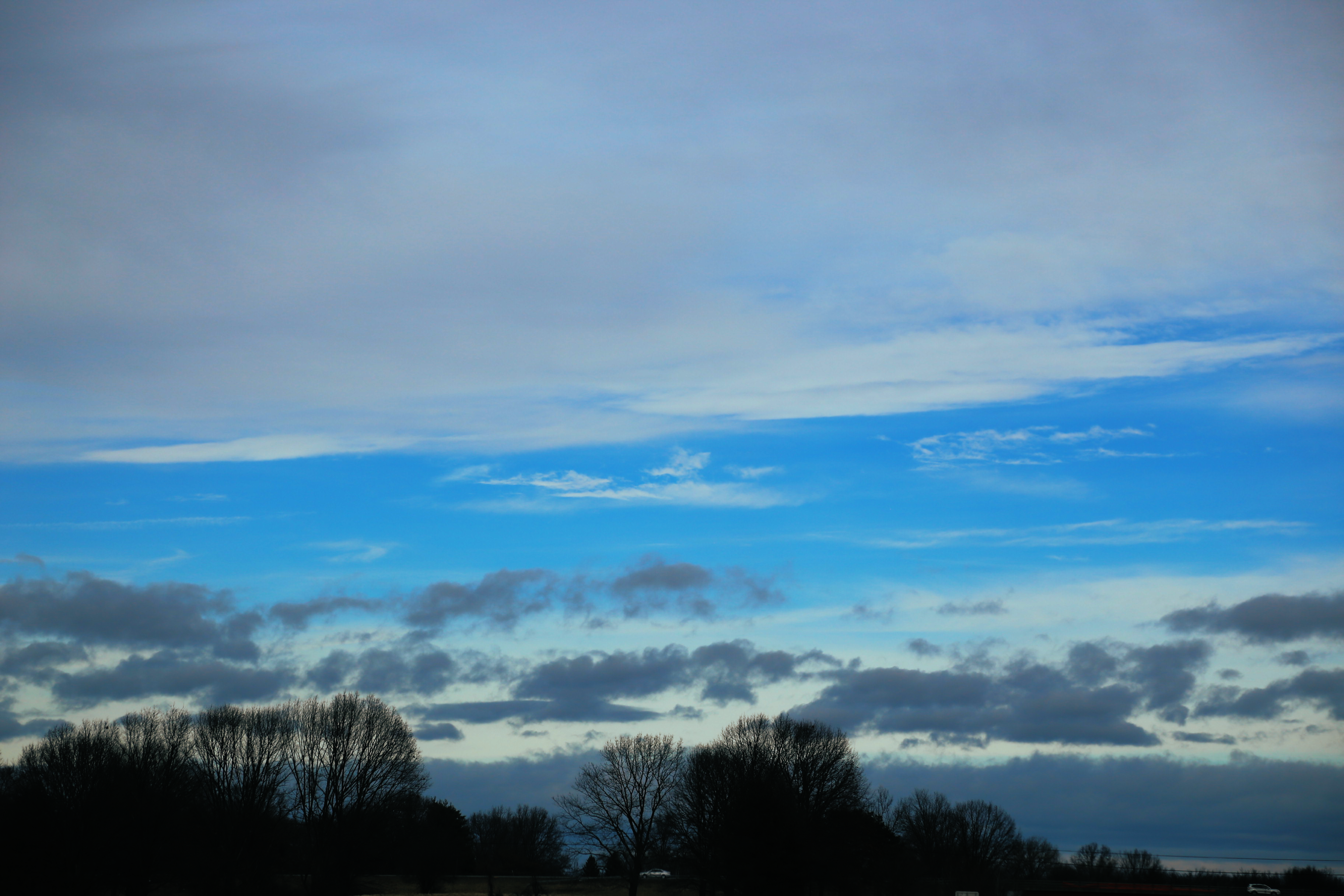 Top of the trees silhouette under a Blue Skies